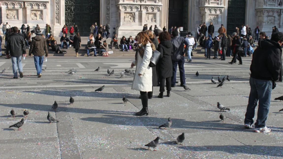 Românii au ajuns să fure porumbei în străinătate. Curiosul caz care a pus pe jar poliţia din două ţări
