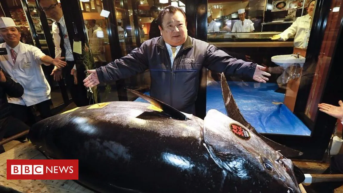 Un ton roşu uriaş a fost vândut cu 1,8 milioane de dolari la licitaţie în Japonia