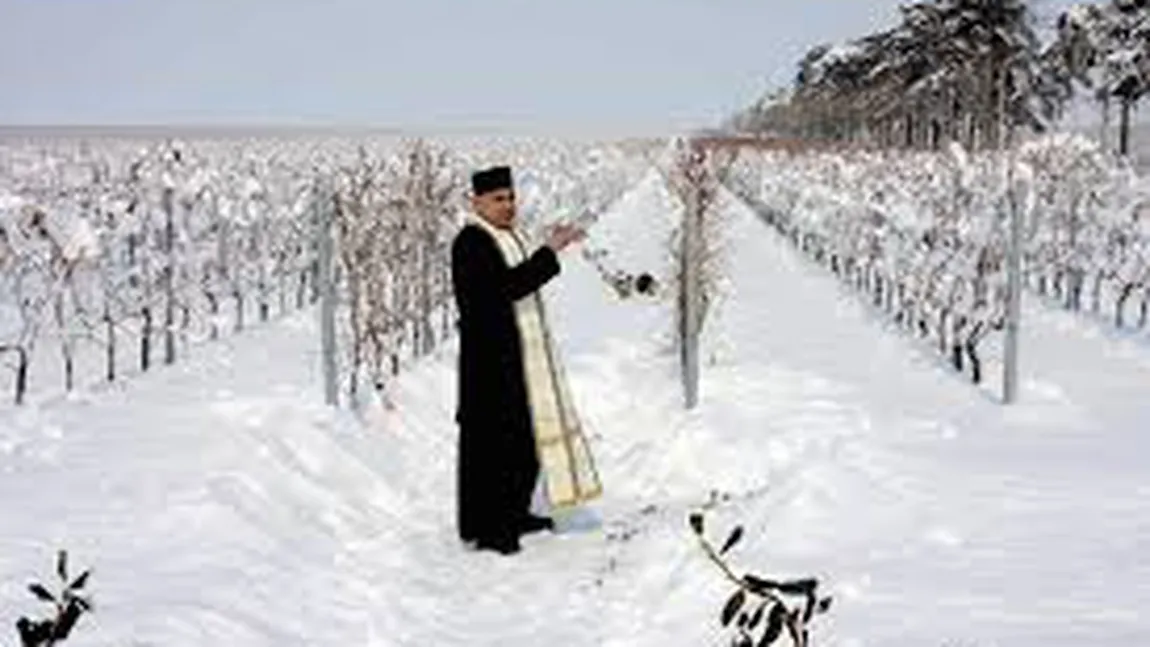 CALENDAR ORTODOX 1 februarie 2020. Sărbătoare mare în prima zi din Făurar, ce NU E BINE să faci de ziua lui Trif Nebunul