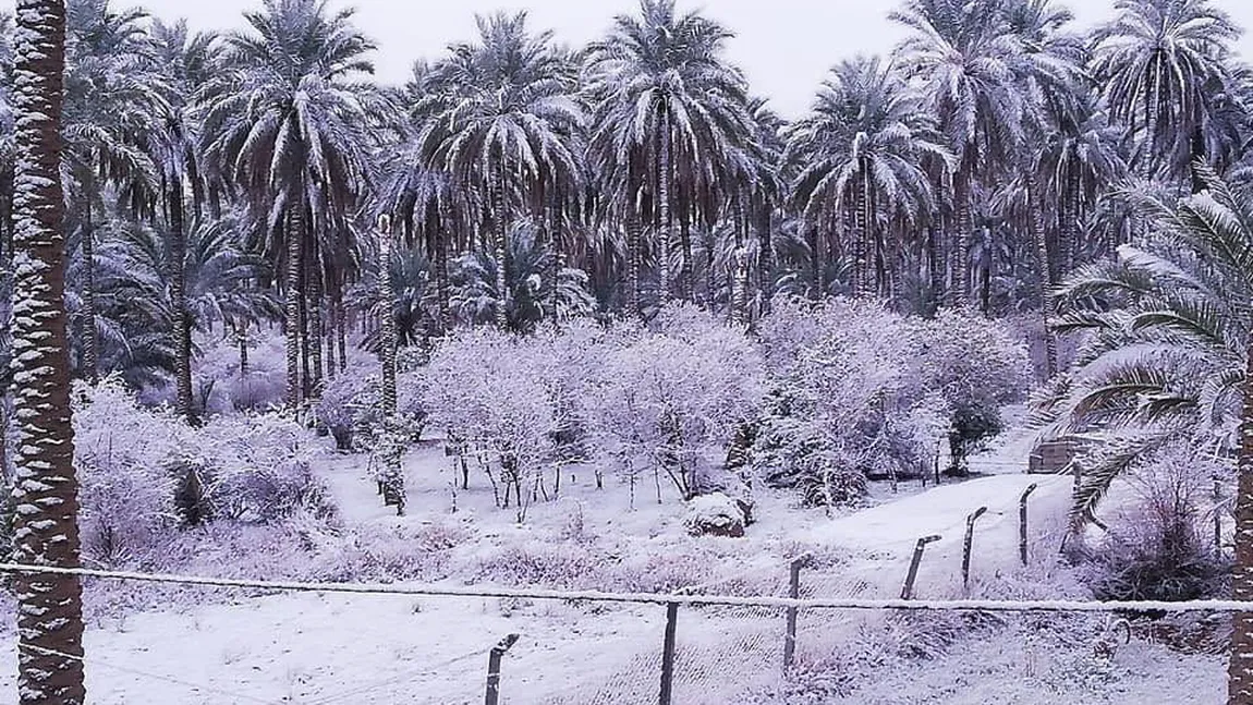 Clima se schimbă dramatic. La Bagdad a nins pentru a doua oară în ultimul secol, capitala Irakului e albă FOTO