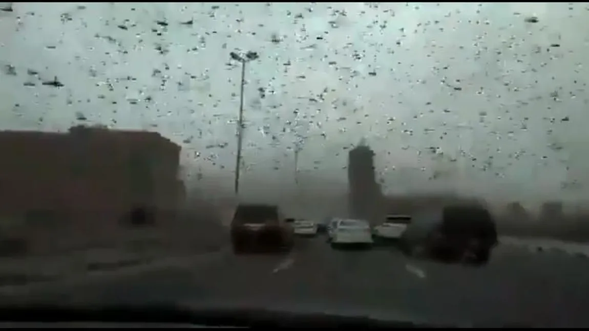 Imagini apocaliptice. O ploaie de lăcuste a transformat ziua în noapte VIDEO