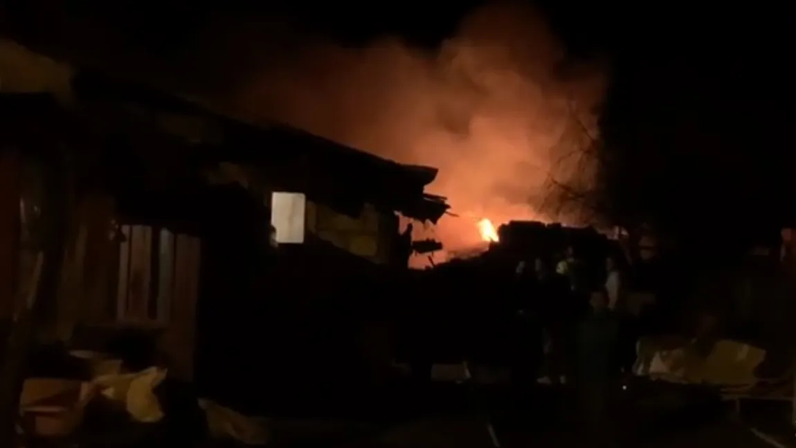 Incendiu violent în Piteşti într-un adăpost de animale. Mai mulţi cai au ars de vii VIDEO