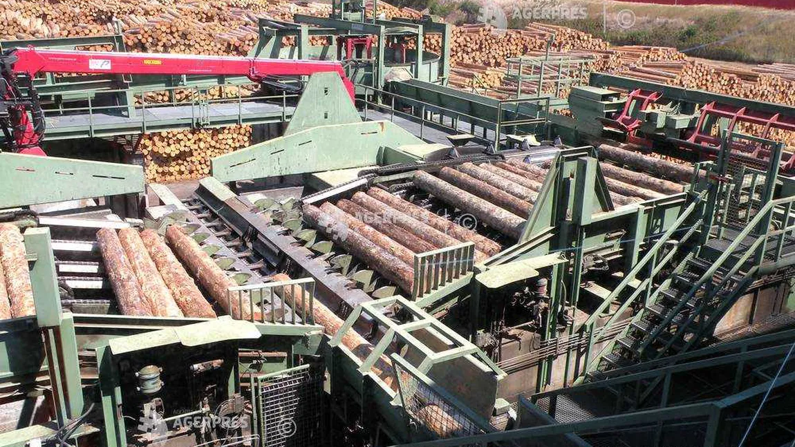 HS Timber Group, măsuri suplimentare pentru protecţia angajaţilor după un deces de Covid-19 la fabrica din Rădăuţi