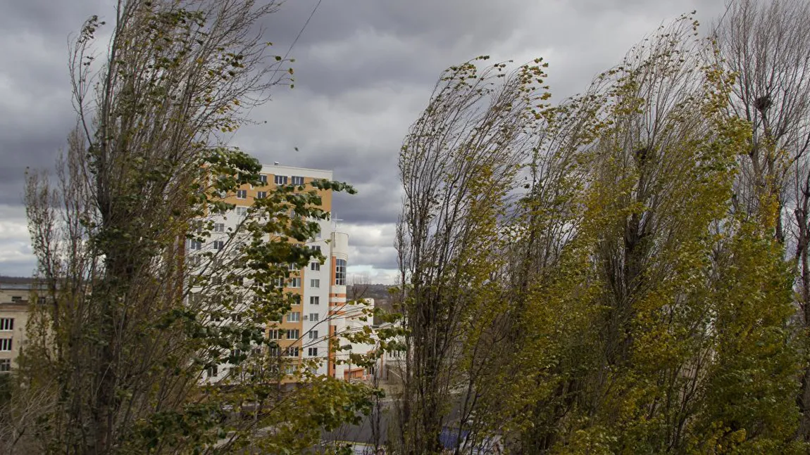 ALERTĂ METEO COD GALBEN de vânt puternic în mai multe judeţe, până la ora 20.00. Ploi şi precipitaţii mixte prognozate până joi