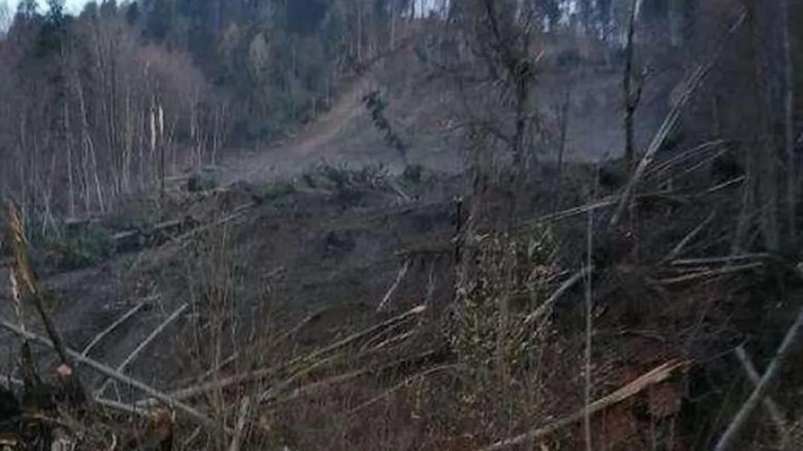 Alunecarea masivă de la Azuga ar putea fi urmată de un alt dezastru. În zonă este pericol de inundaţie