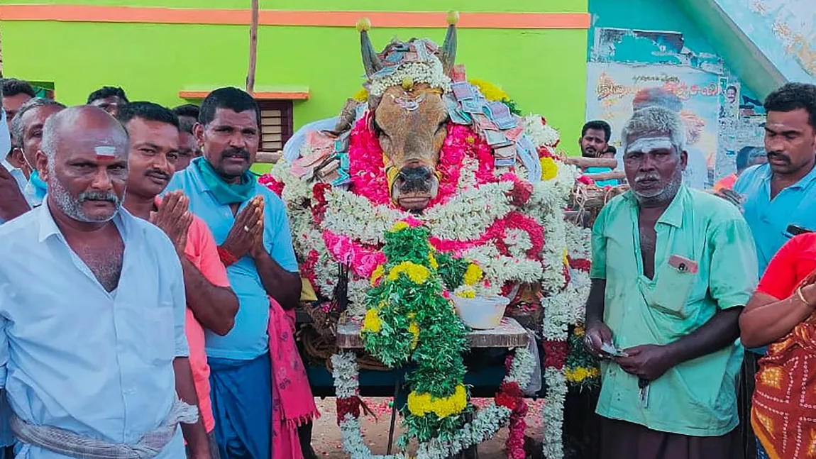 CORONAVIRUS Inconştienţă în India, unde 200 de persoane au participat la înmormântarea unui taur VIDEO
