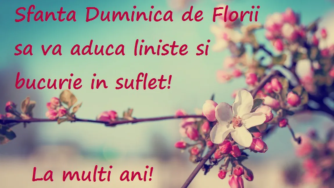 MESAJE FLORII 2020. Cele mai frumoase mesaje, urari de Florii.  FELICITARI FLORII 2020
