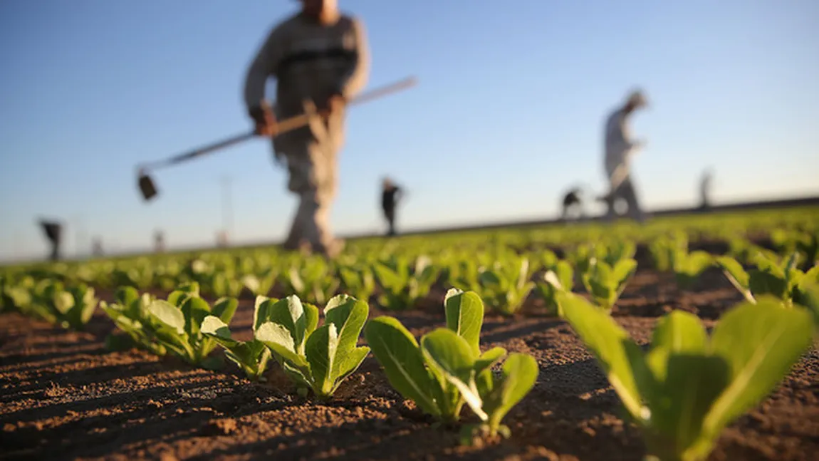 APIA: Peste 120.000 de fermieri, afectaţi de criza COVID