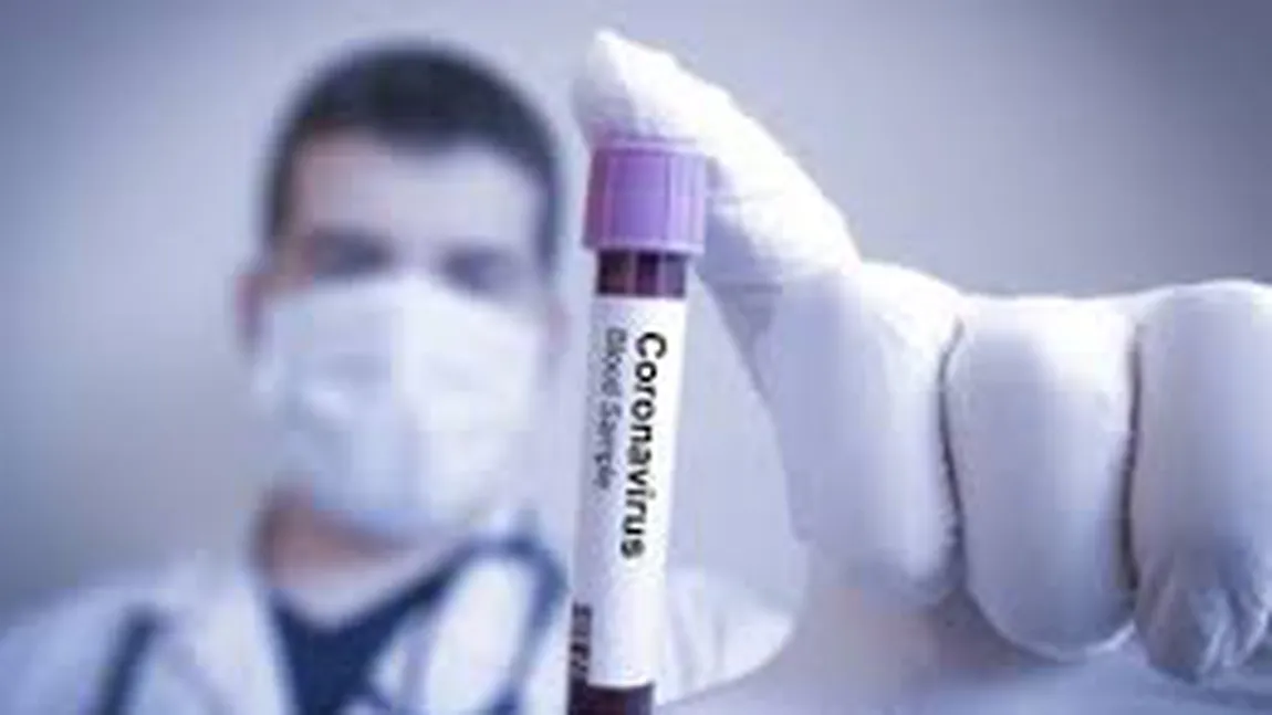Vaccinul pentru coronavirus dezvoltat de Oxford pare să funcţioneze pe maimuţe, după o singură injecţie