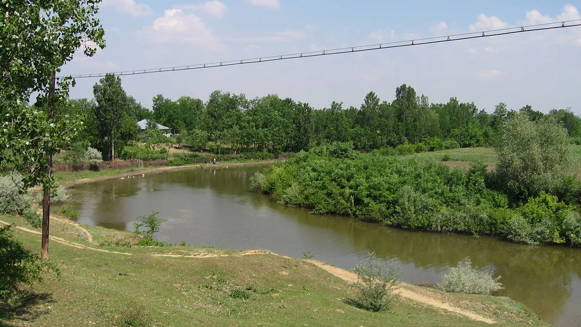 Povestea cutremurătoare a băiatului de 10 ani care a murit cu declaraţia pe proprie răspundere în mână