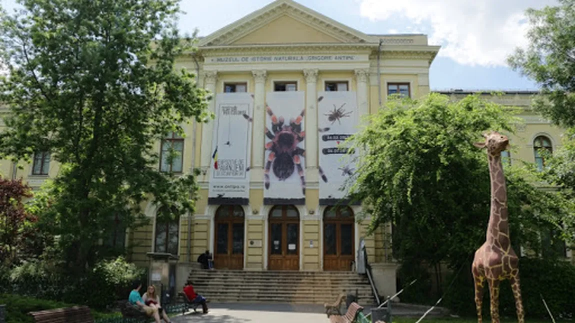 Muzeu Antipa NU se va deschide din 15 mai