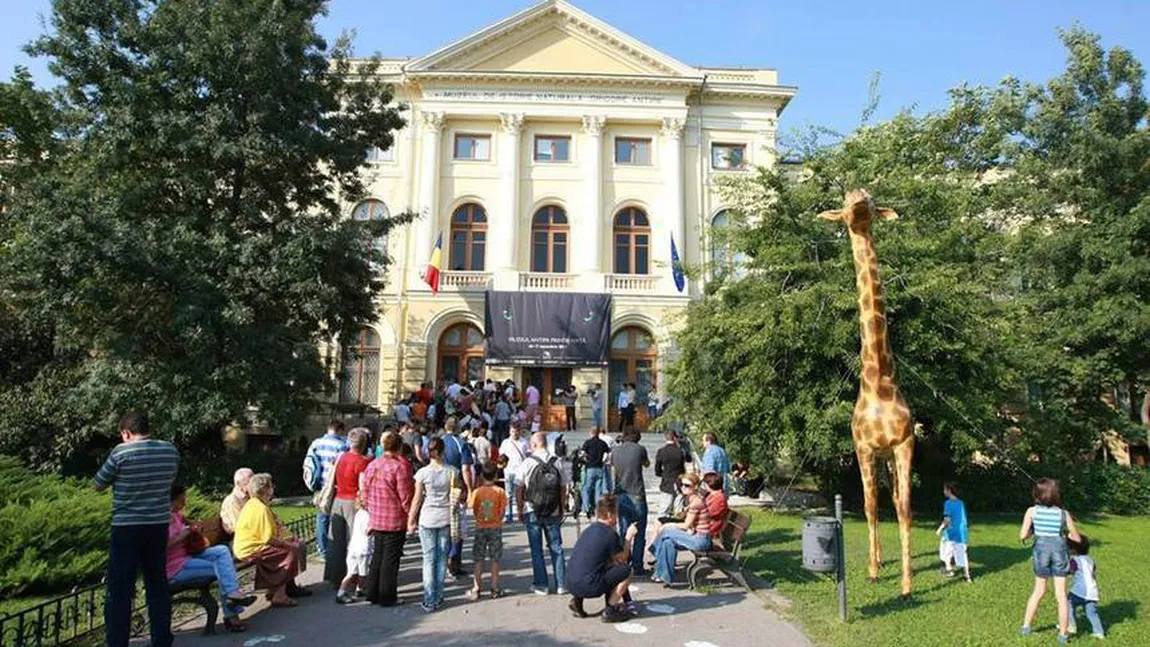Noi reguli pentru activităţile culturale: Vizita la muzeu doar 2 ore, sunt interzise lansările de carte
