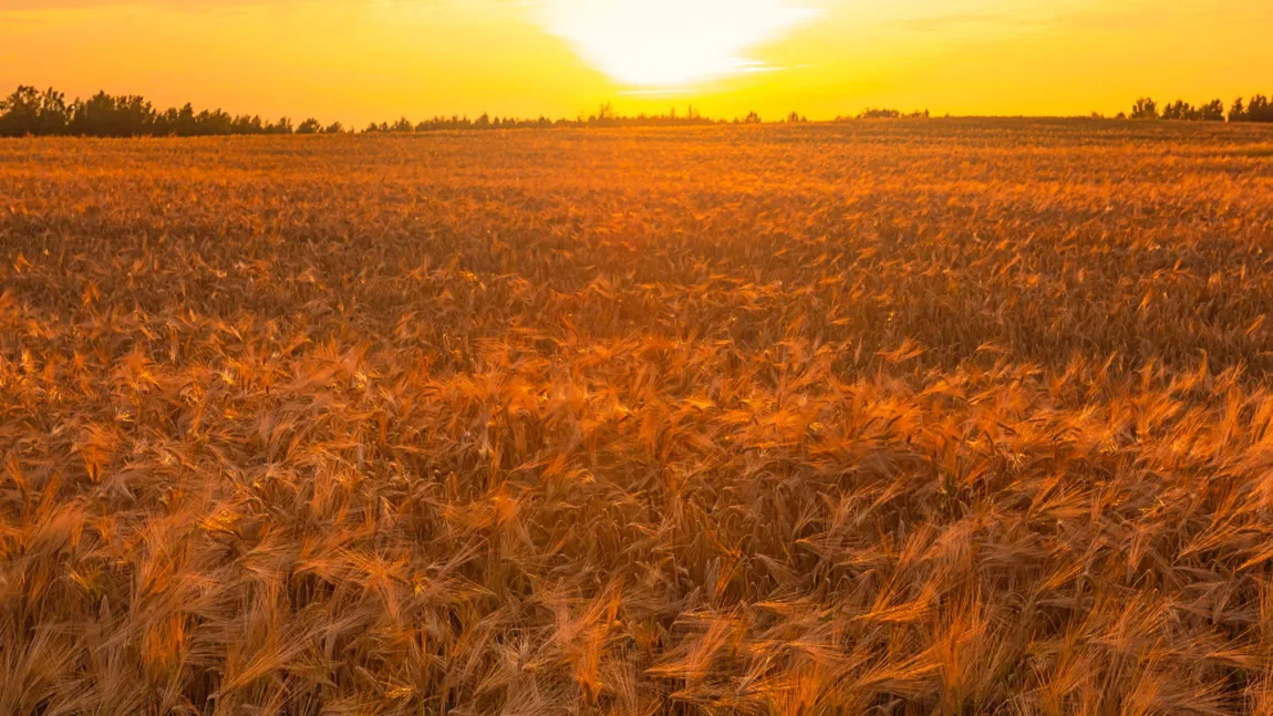 Părţi din România, afectate de cea mai gravă secetă din ultimii 100 de ani. Analiză Bloomberg asupra agriculturii din Europa de Est