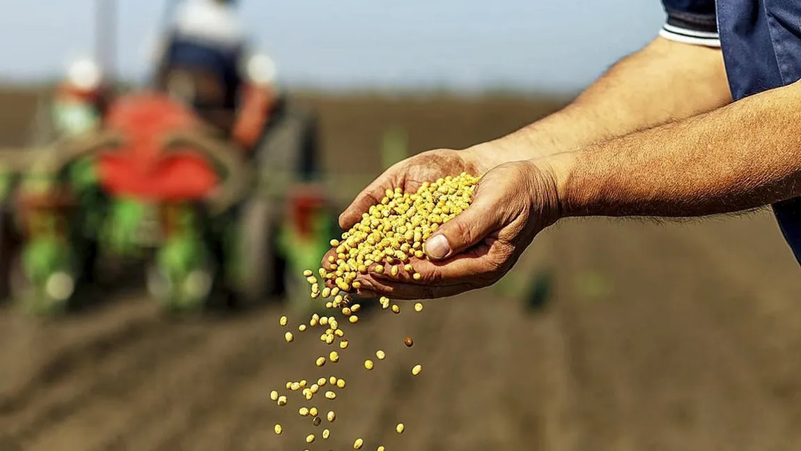 Criză alimentară fără precedent. Preţurile la mâncare au crescut cu 200%, peste jumătate din populaţie e afectată