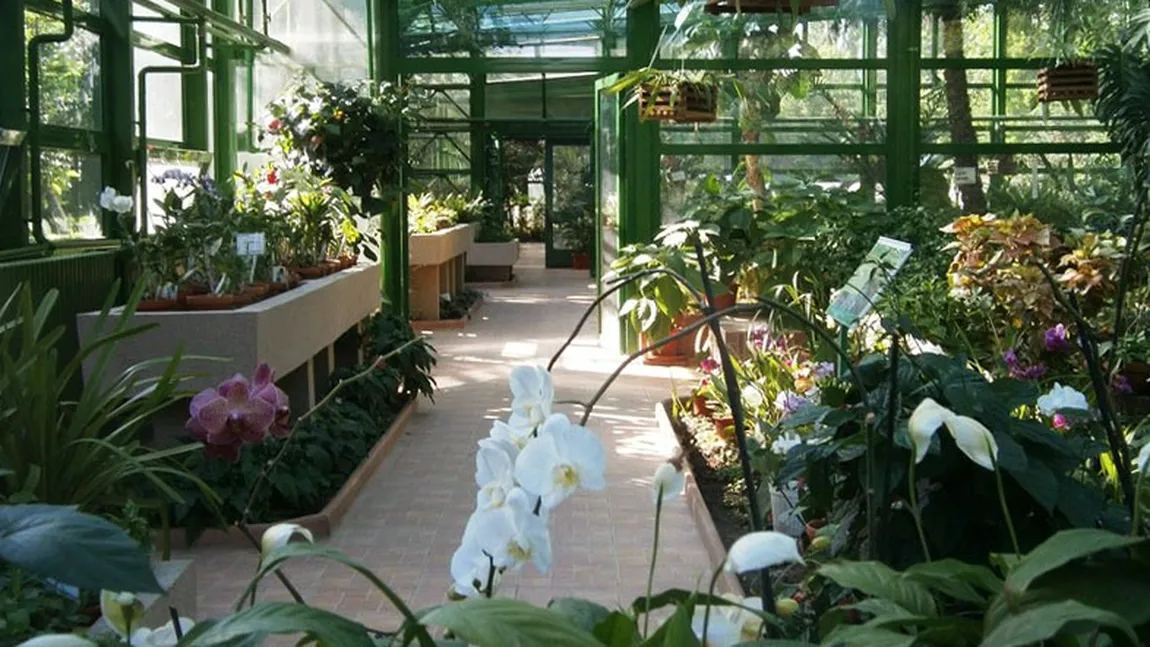 Vrei sa ai casa ta cu gradina? Ce trebuie sa stii pentru costuri mici si rezultat foarte bun