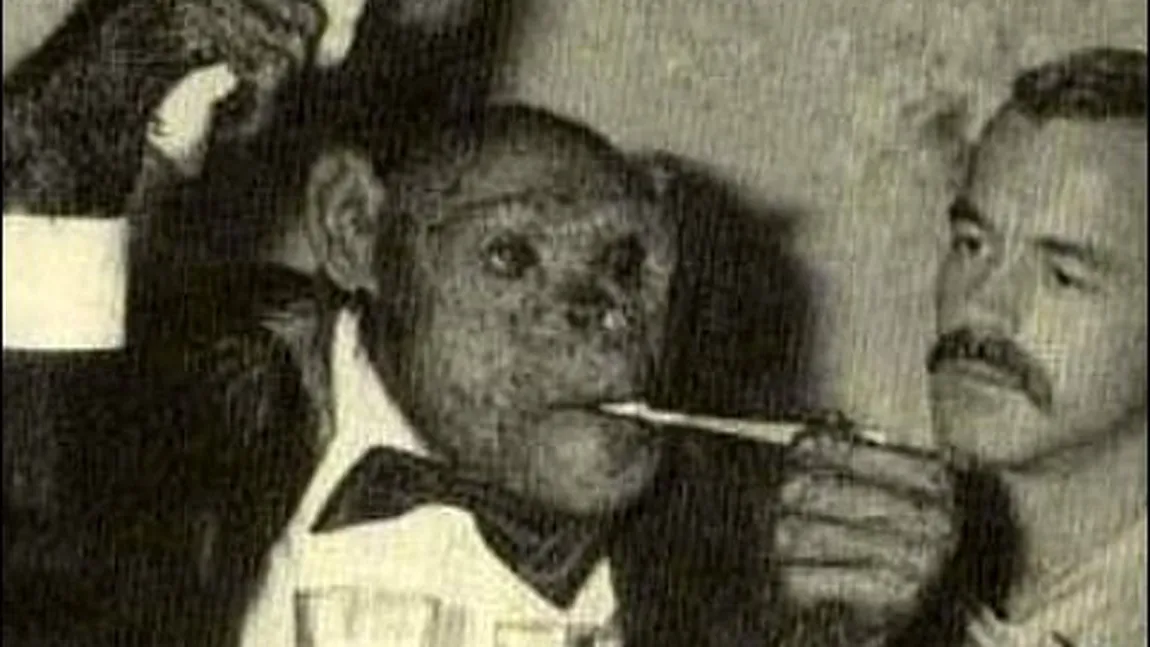 Cimpanzeul cu 47 de cromozomi, considerat veriga lipsă dintre primate şi oameni FOTO VIDEO