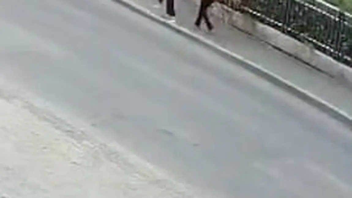 Înghiţite de asfalt, în timp ce mergeau pe trotuar. Momentul şocant în care două femei dispar sub şosea VIDEO