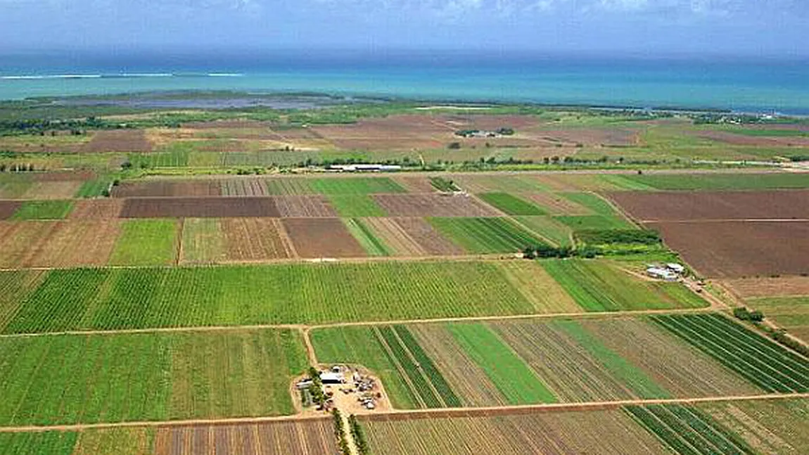 Noi condiţii pentru cumpărarea de terenuri în România. Legea intră în vigoare din octombrie