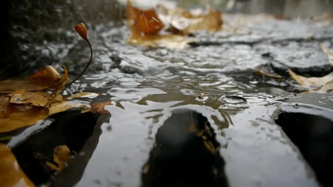 PROGNOZA METEO. Revin ploile în România. Temperaturile încep să scadă