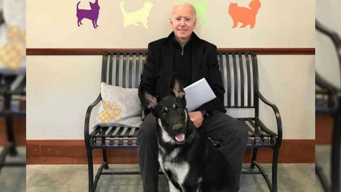 Joe Biden şi-a scrântit glezna în timp ce se juca cu câinele