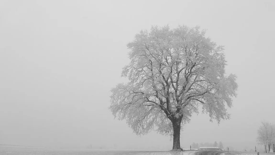 PROGNOZA METEO 24 noiembrie. Vreme rece, cu temperaturi de până la MINUS 11 grade, cu ceaţă şi chiciură