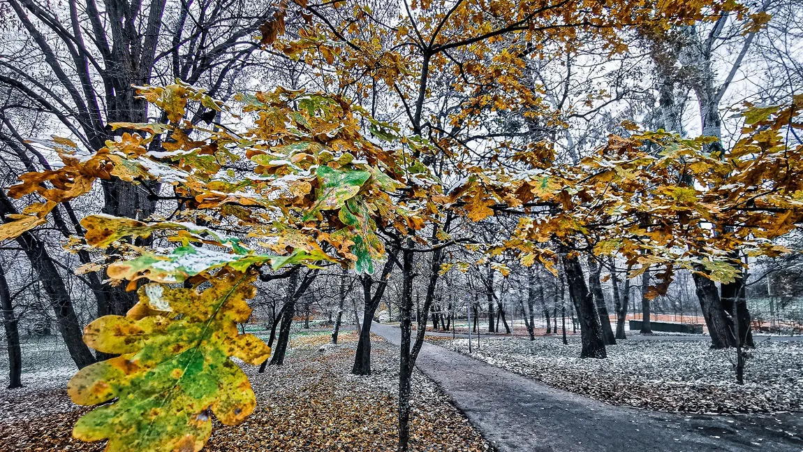 PROGNOZA METEO 16 decembrie. Vreme închisă în toată ţara. Dimineaţa se vor semnala ceaţă, burniţă şi chiciură