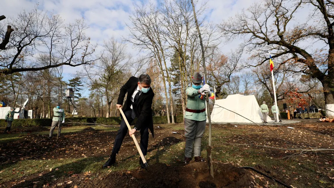 Marcel Ciolacu a plantat copaci în Buzău de Ziua Naţională. 