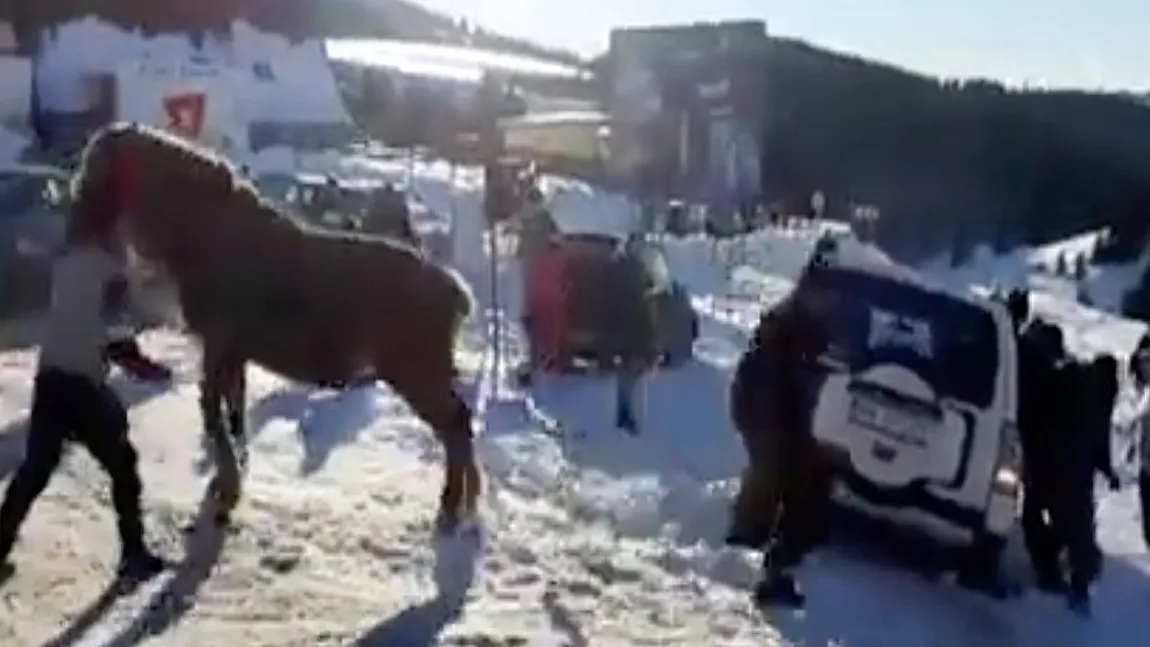 Imagini incredibile în Munţii Bucegi. Maşini de lux înzăpezite, scoase cu caii: 