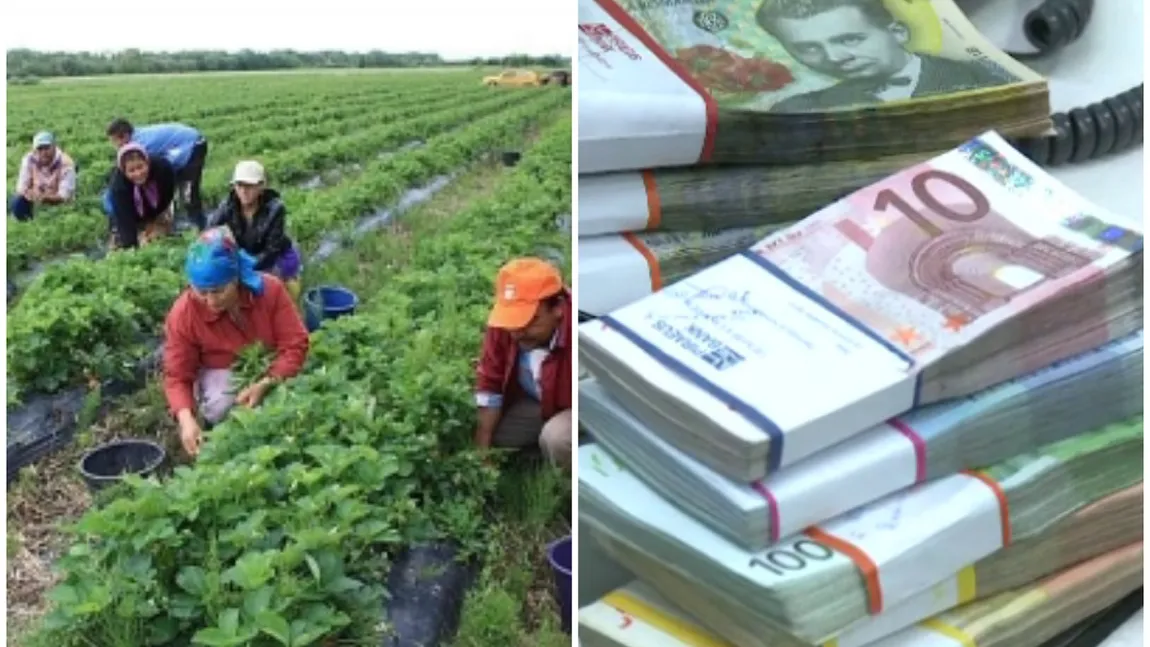 Câţi bani trimit acasă românii care lucrează în străinătate. Valoarea sumelor trimise în ţară, 3% din PIB-ul României
