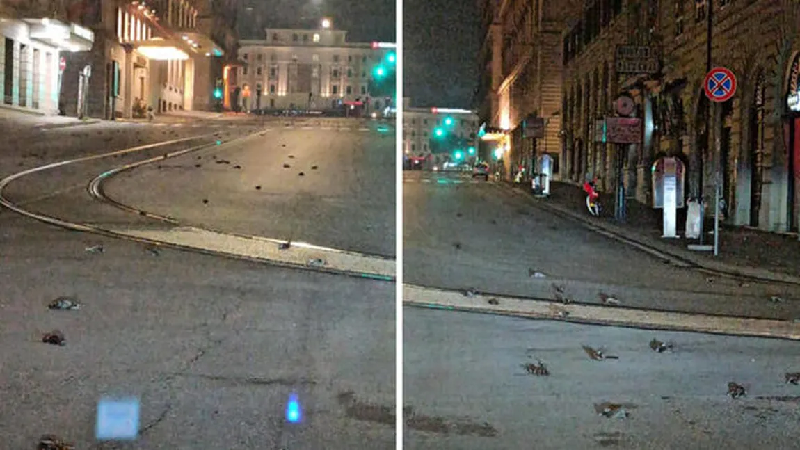 Privelişte oribilă la Roma, după noaptea de Revelion. Mii de păsări au murit din cauza focurilor de artificii VIDEO