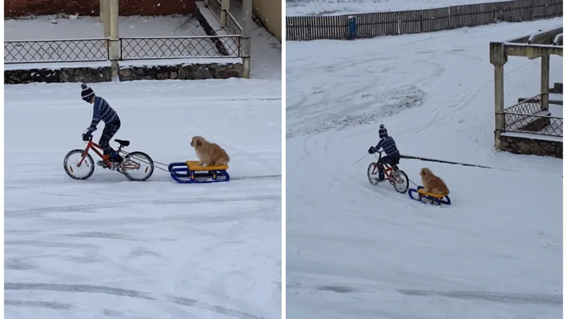 VIRALUL ZILEI Un copil îşi trage căţelul cu sania VIDEO