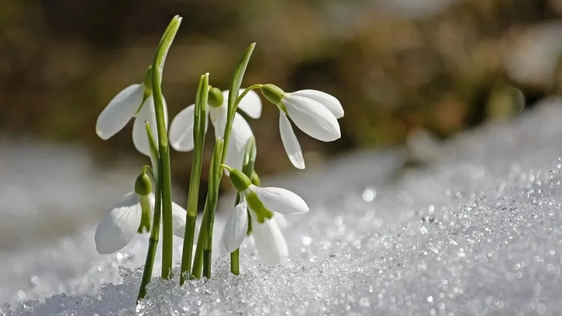 Prognoza meteo lunară. Vreme rece în februarie fără prea multe precipitaţii. Cum va fi vremea în martie