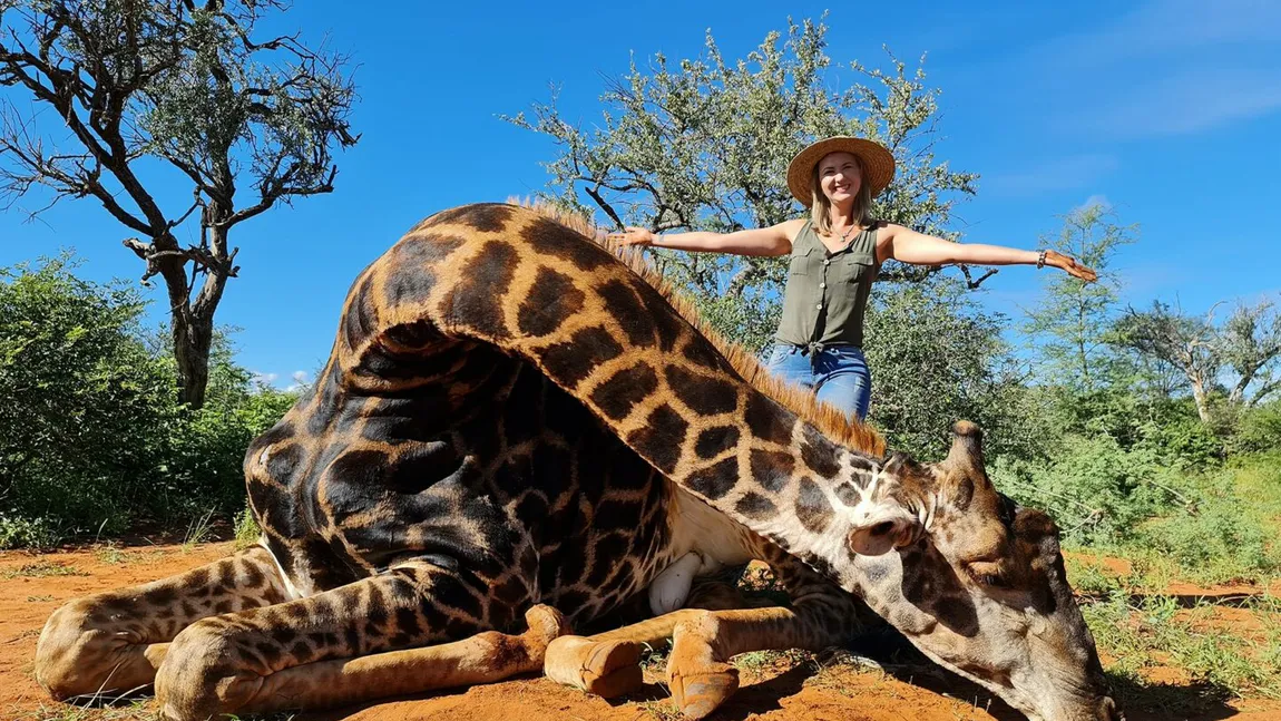 O femeie a omorât o girafă şi s-a pozat cu inima ei: 
