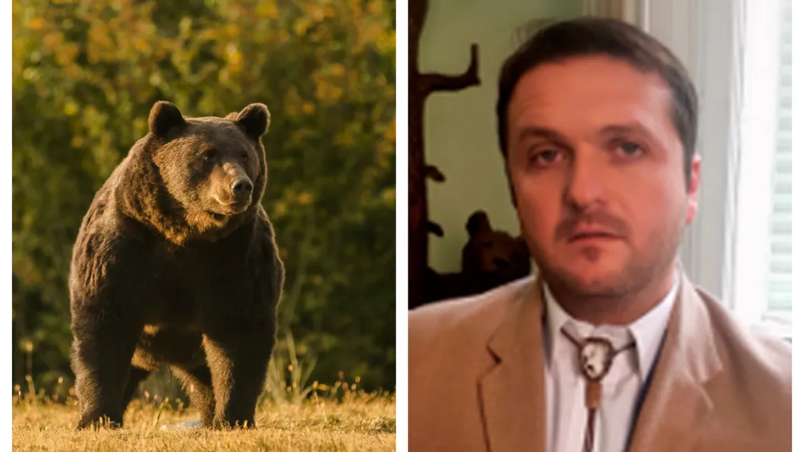 Şeful Asociaţiei Vânătorilor, despre găsirea vinovaţilor în cazul ursului împuşcat de prinţul austriac. 