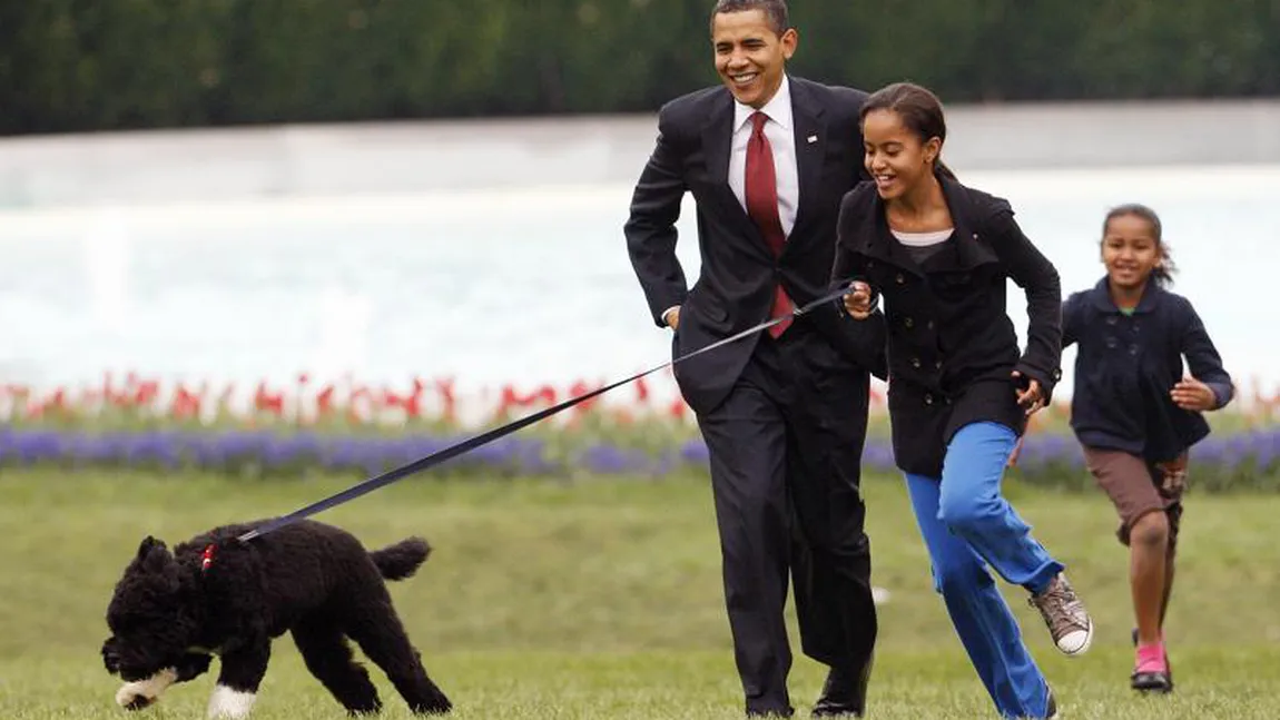 Bo, câinele lui Barack Obama, a murit de cancer. A fost unul dintre cei mai celebri căţei de la Casa Albă