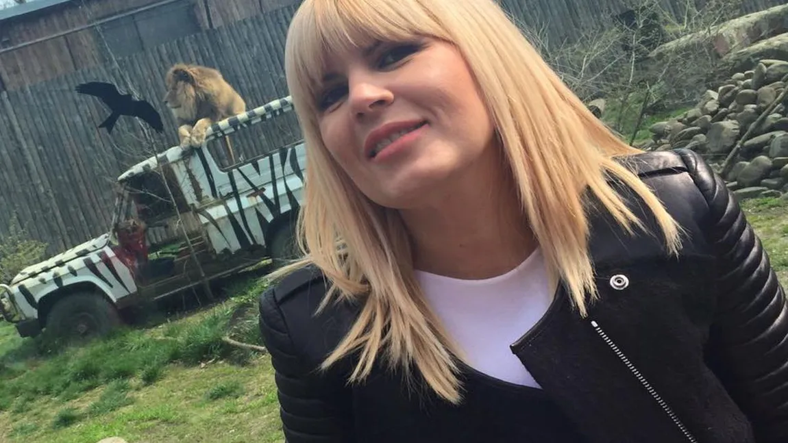 Elena Udrea, despre Cîţu: Nu este atât de grav că a condus beat, cât minciuna. Arată că este demagog