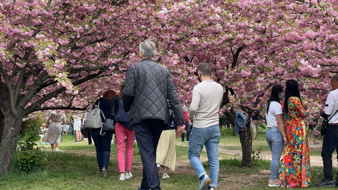 Rata de infectare în Capitală, sub trei la mie pentru a doua zi consecutiv. Bucureştenii au luat cu asalt Parcul Herăstrău