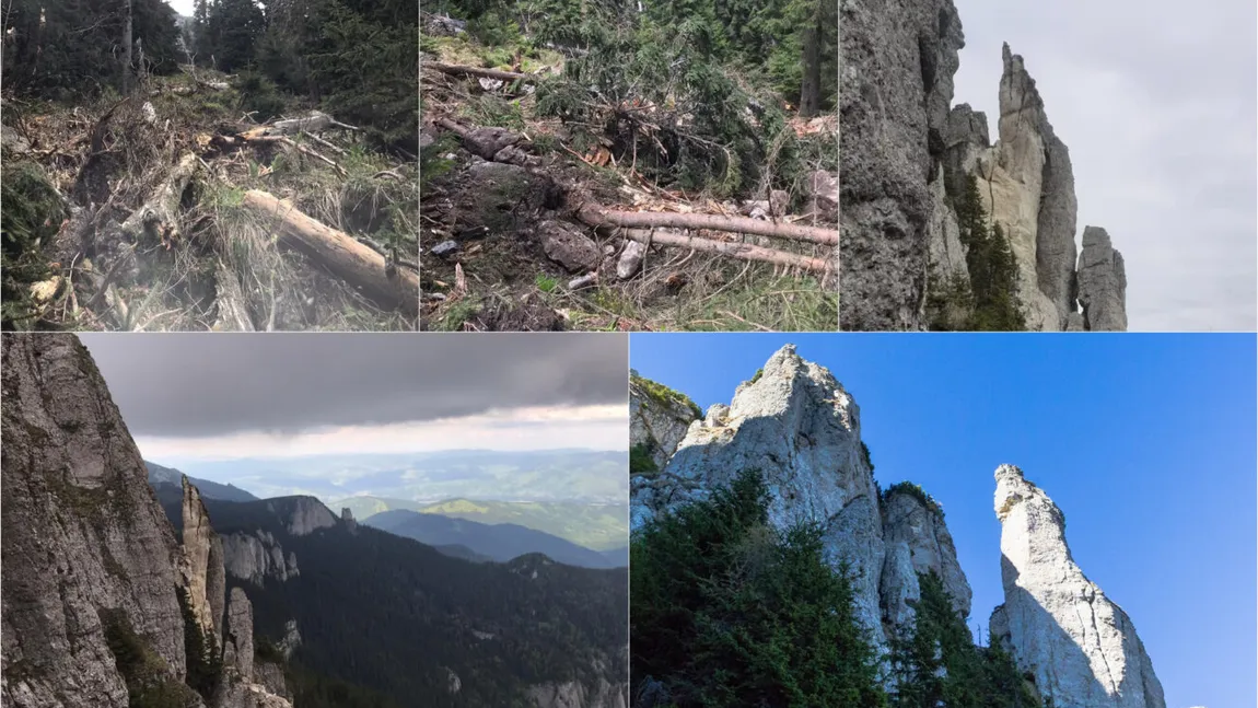 Încă un monument al naturii a fost distrus. Anunţul făcut de reprezentanţii Salvamont Neamţ!