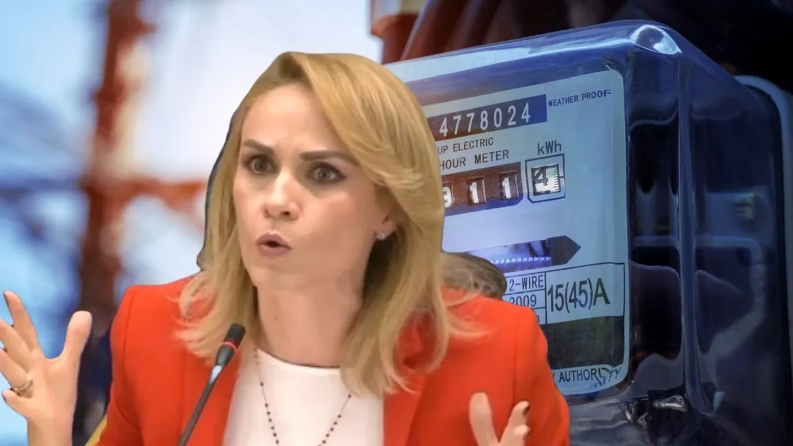 Gabriela Firea vrea sesiune extraordinară din cauza creşterii preţului la energie. 