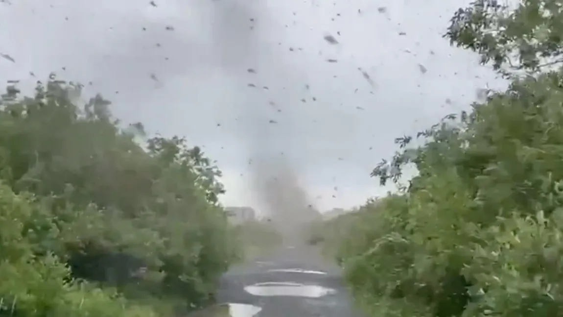 Tornadă de ţânţari, în Siberia. Miliarde de insecte i-au îngrozit pe turişti VIDEO