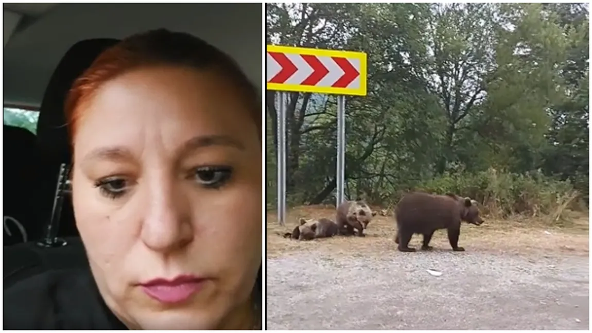 Șoșoacă, furioasă pe turiștii care sperie urșii în loc să-i hrănească: 