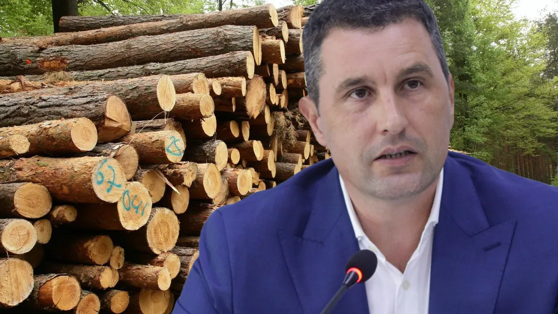 Tanczos Barna recomandă montarea centralelor pe lemne şi anunţă un miliard de euro pentru panouri voltaice