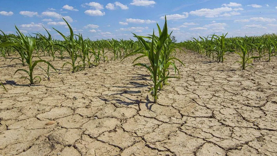 Mai multe zone agricole din țară, amenințate de secetă de la moderată la extremă în perioada 13-19 aprilie