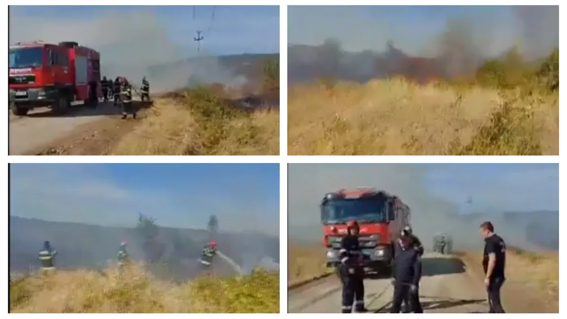 Incendii puternice de vegetaţie în Mehedinţi. Pompieri din trei judeţe se luptă cu flăcările