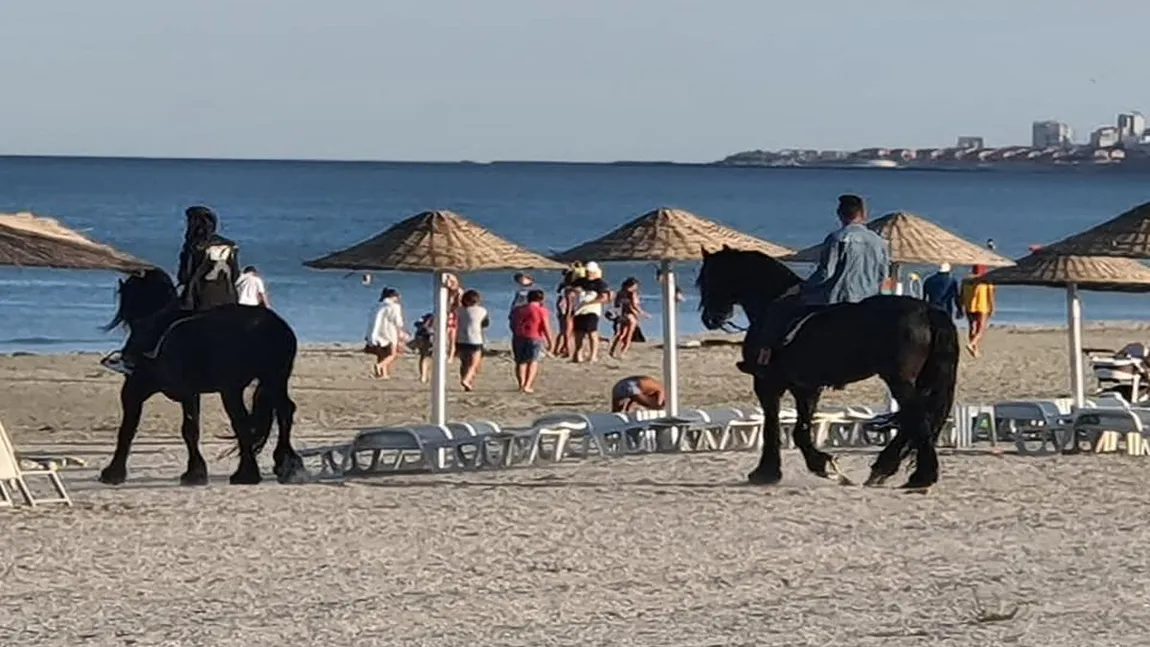 Apariţie spectaculoasă pe o plajă din Mamaia Nord. Doi cai, surprinşi printre turişti. Fotografiile au devenit imediat virale - FOTO