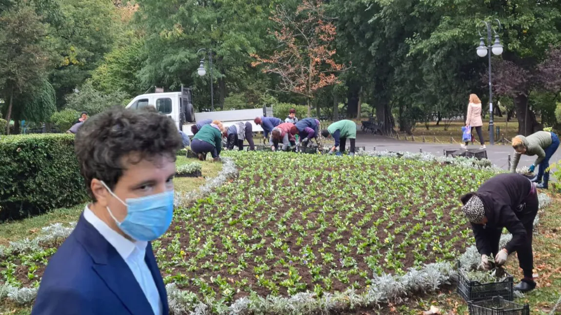 Cu 87 de zile înainte de Crăciun, Nicuşor Dan e preocupat să planteze flori în Parcul Cişmigiu. Primarul general, ironizat de internauţi: 