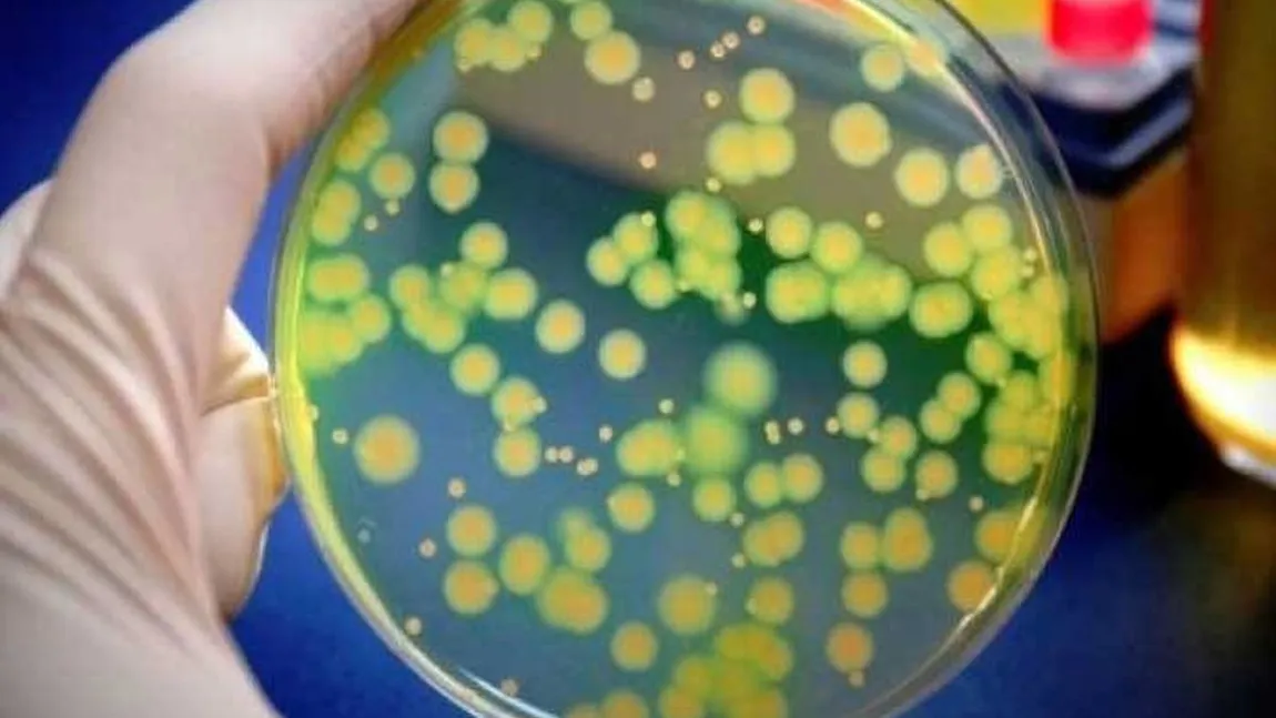 Bacteria care e un adevărat pericol invizibil. Poate da infecții grave dacă nu e descoperită la timp