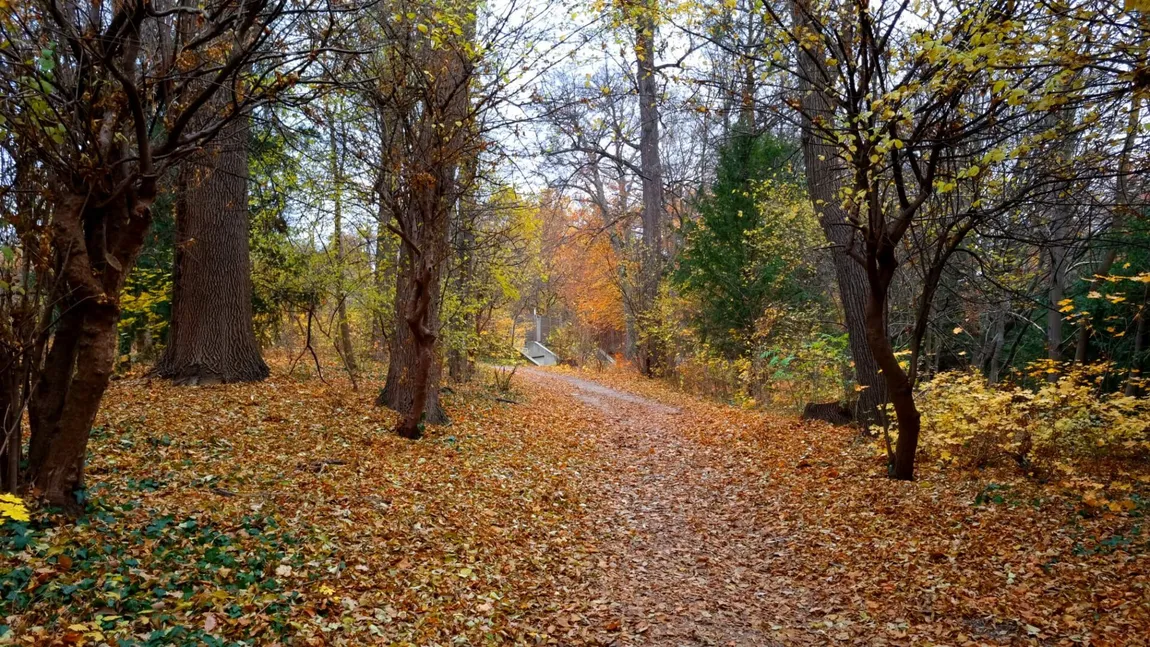 PROGNOZA METEO. Val de aer rece care va cuprinde toată ţara în zilele următoare. Cum va fi vremea luna aceasta