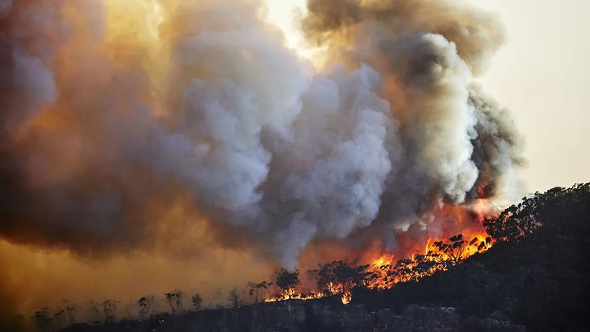 Acordurile de la COP26 nu pot împiedica dezastrul. Lumea se îndreaptă spre o încălzire catastrofală, cu peste 2,4 grade Celsius