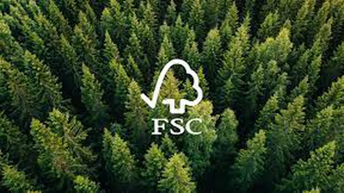 Forest Stewardship Council (FSC) încheie dezasocierea de HS Timber Group